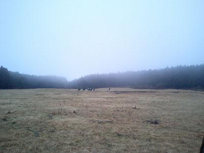 SR'ES特集朝焼け